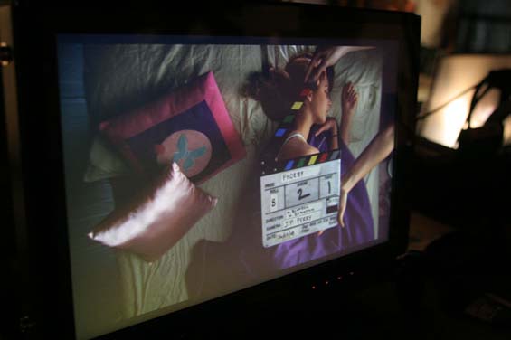 IMG 0171 The Bird's Eye Shot